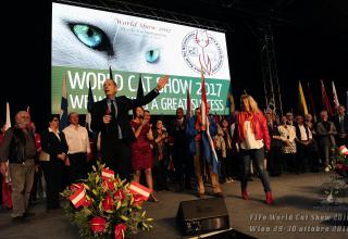 Foto World Cat Show 2016 Wien Austria