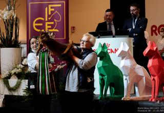 31 ottobre 2021 - domenica - World Winner Cat. 4 - World Show 2021 Foto World Cat Show ANFI - FIFe Vicenza Italy