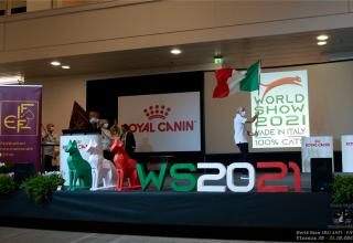 31 ottobre 2021 - domenica - Gran Finale - World Show 2021 Foto World Cat Show ANFI - FIFe Vicenza Italy