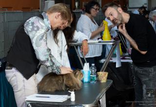 2 ottobre 2022 Mostra Interazionale Felina ANFI FIFe di Padova