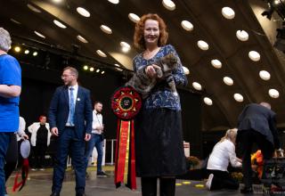 30 october 2022 World Cat Show FIFe World Winner Mechelen Belgium