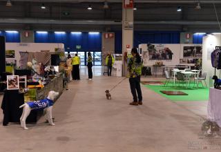 19 & 20 ottobre 2024 World Cat Show WCF Cremona