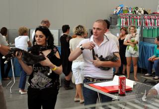 15 e 16 giugno 2013. Foto. Esposizione Internazionale Felina ANFI – FIFE Bassano del Grappa
