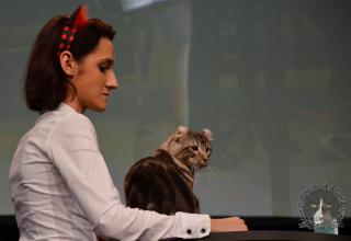 Foto da World Cat Show 2012 Zagabria Croazia - secondo giorno