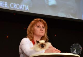 Foto da World Cat Show 2012 Zagabria Croazia - secondo giorno