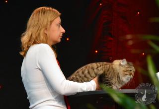 Foto da World Cat Show 2012 Zagabria Croazia - secondo giorno