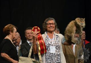 Foto da World Cat Show 2012 Zagabria Croazia - secondo giorno