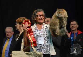 Foto da World Cat Show 2012 Zagabria Croazia - secondo giorno