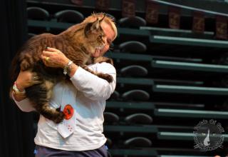 Foto da World Cat Show 2012 Zagabria Croazia - secondo giorno