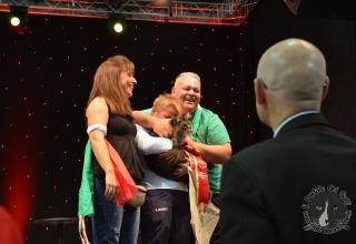 Foto da World Cat Show 2012 Zagabria Croazia - secondo giorno