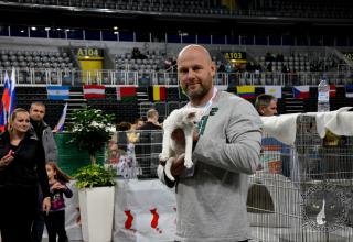 Foto da World Cat Show 2012 Zagabria Croazia - secondo giorno