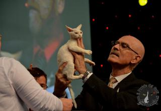 Foto da World Cat Show 2012 Zagabria Croazia - secondo giorno