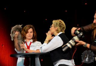 Foto da World Cat Show 2012 Zagabria Croazia - secondo giorno