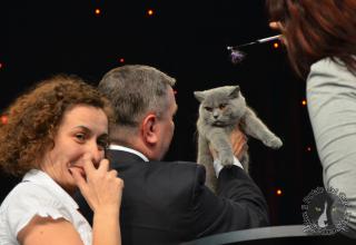 Foto da World Cat Show 2012 Zagabria Croazia - secondo giorno