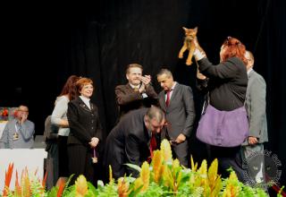 Foto da World Cat Show 2012 Zagabria Croazia - secondo giorno