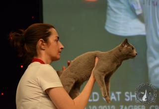 Foto da World Cat Show 2012 Zagabria Croazia - secondo giorno