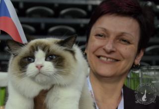 Foto da World Cat Show 2012 Zagabria Croazia - secondo giorno