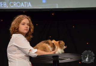 Foto da World Cat Show 2012 Zagabria Croazia - secondo giorno