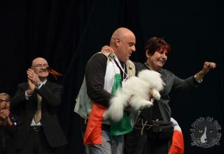 Foto da World Cat Show 2012 Zagabria Croazia - secondo giorno