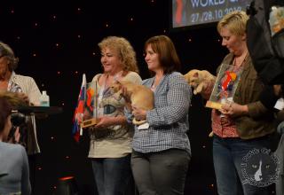 Foto da World Cat Show 2012 Zagabria Croazia - secondo giorno