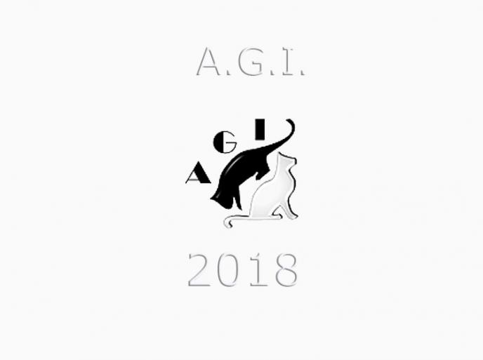 Calendario expo 2018 - AGI - WCF - Italia