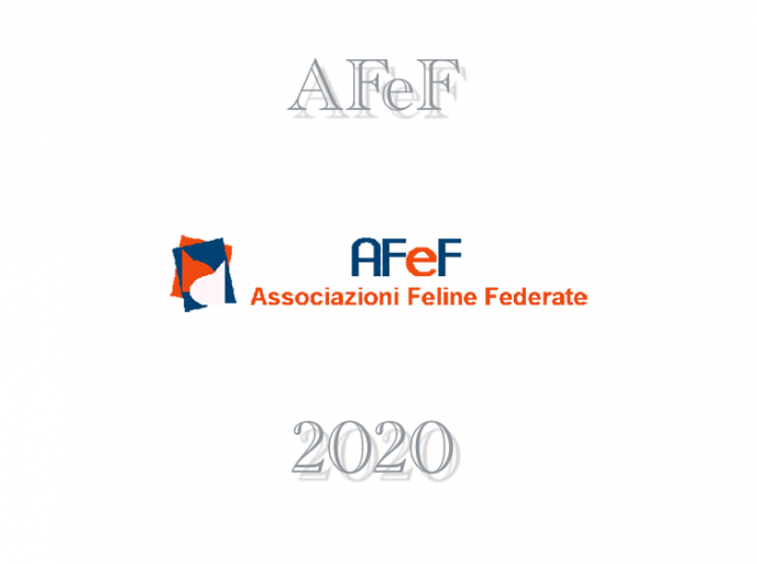 Calendario expo 2020 AFeF -WCF Italia