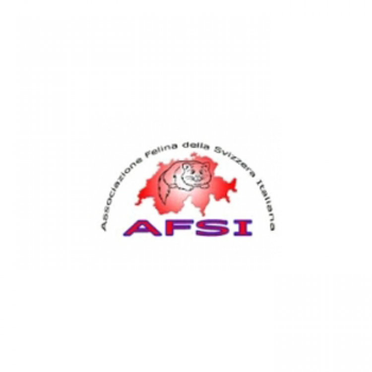 Calendario expo 2013 - AFSI - Svizzera - WCF