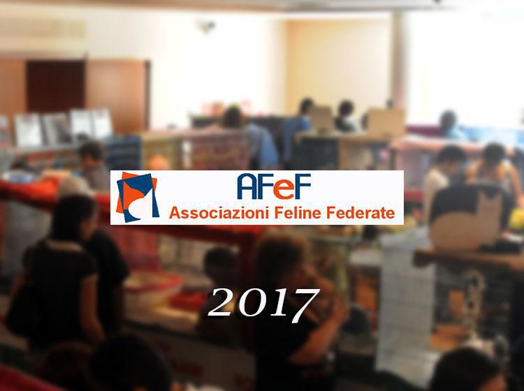 Calendario expo 2017 - AFeF -WCF - Italia