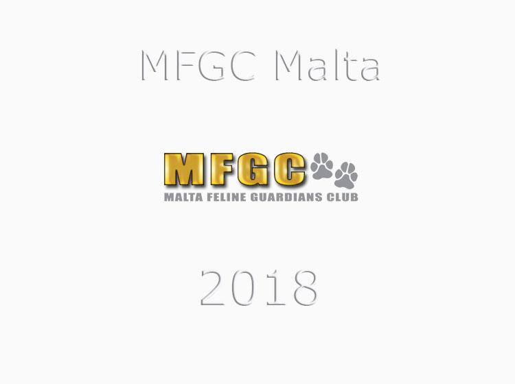 Calendario expo 2018 MFGC WCF Malta