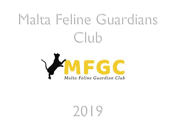 Calendario expo 2019 MFGC WCF Malta