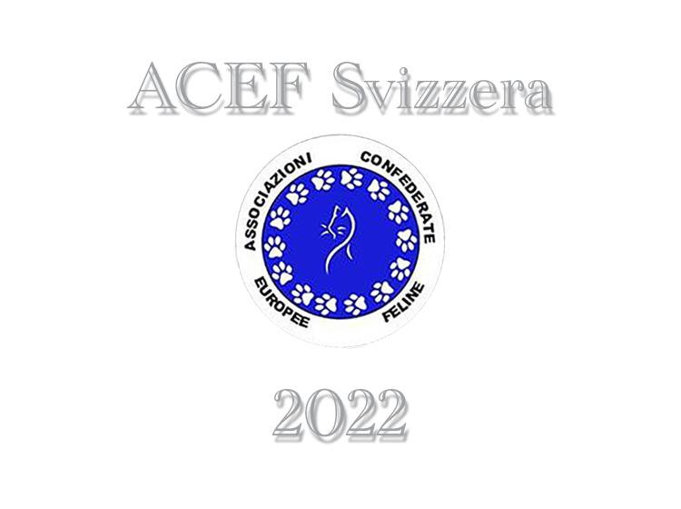 Esposizioni Feline 2022 ACEF WCF Svizzera