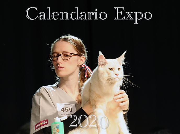 Esposizioni feline in Italia 2020
