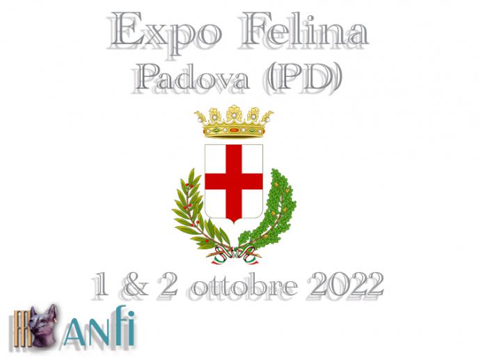 1 e 2 ottobre 2022 Esposizione Internazionale Felina ANFI - FIFe di Padova