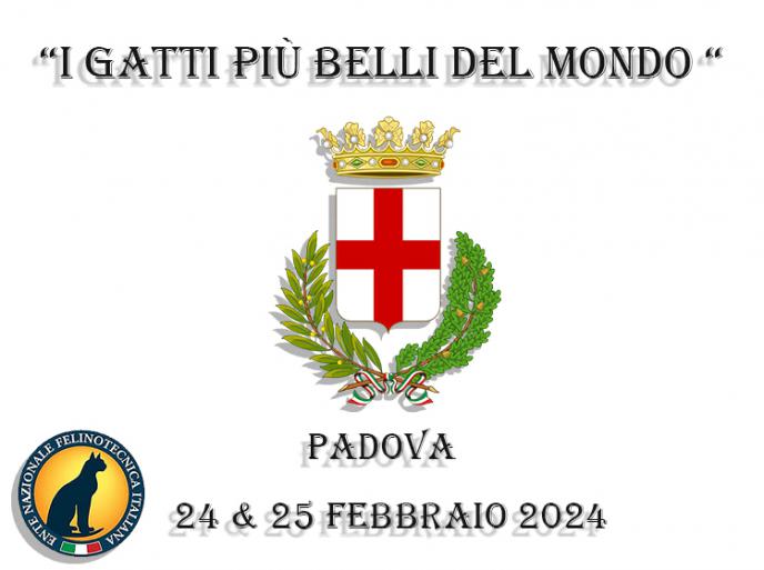 20 febbraio 2024 I gatti più belli del mondo - Comunicato stampa - E.N.F.I. Padova