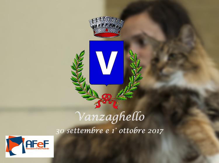30 settembre e 1 ottobre 2017 Esposizione Internazionale Felina AFeF - WCF di Vanzaghello