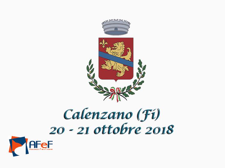 20 e 21 ottobre 2018 Esposizione Internazionale Felina AFeF - WCF di Calenzano (Fi)
