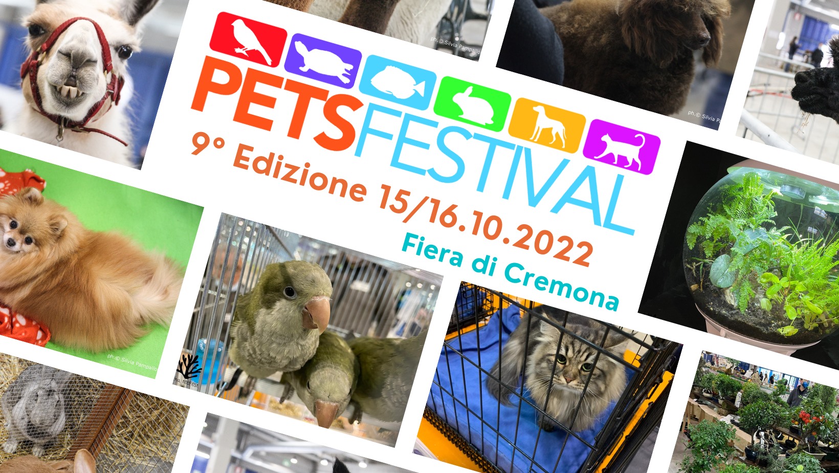 Pets Festival 2022