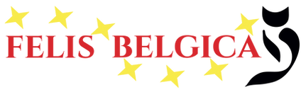 World Show 2022 FIFe Mechelen Belgium