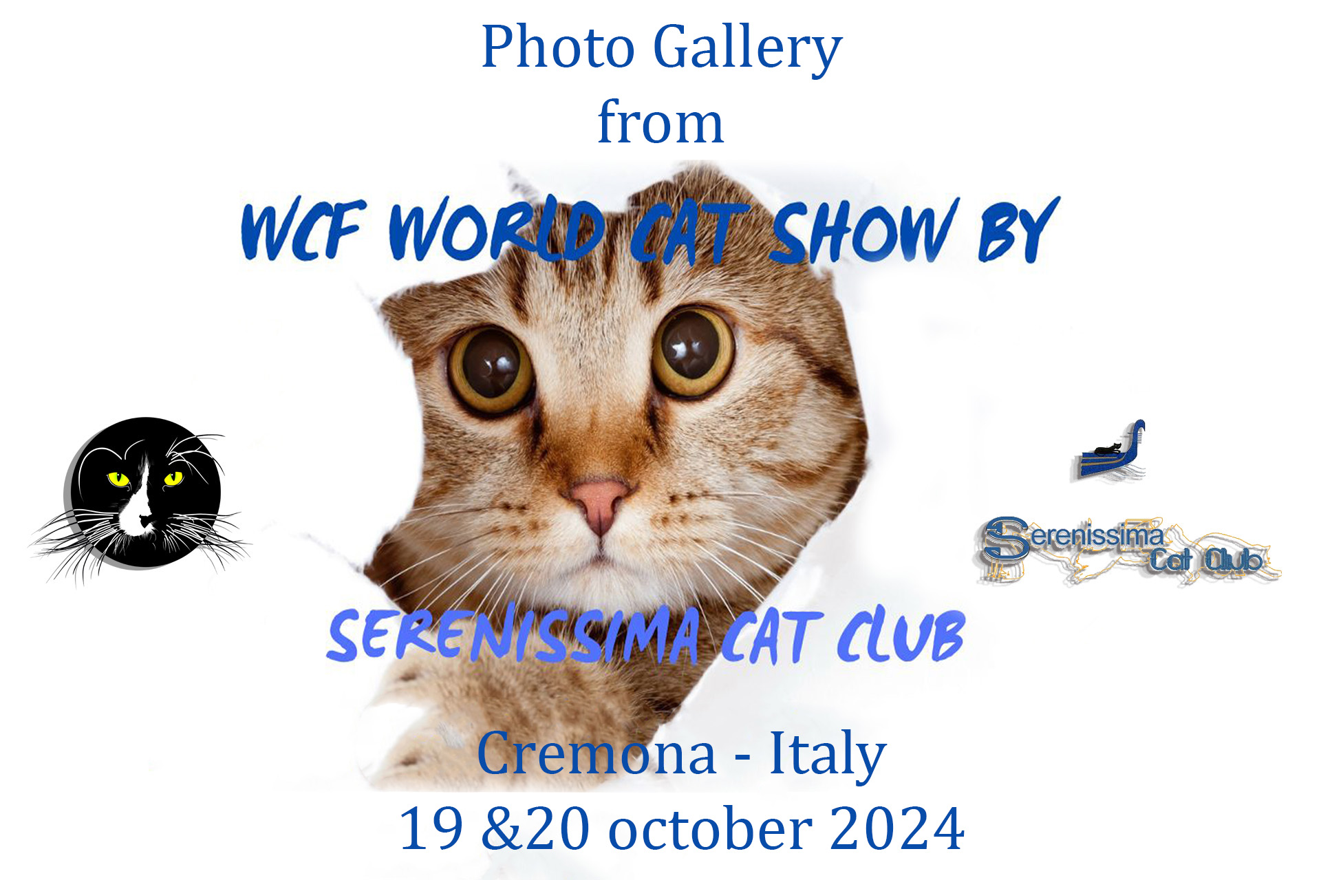 WCF World Cat Show 2024 Cremona