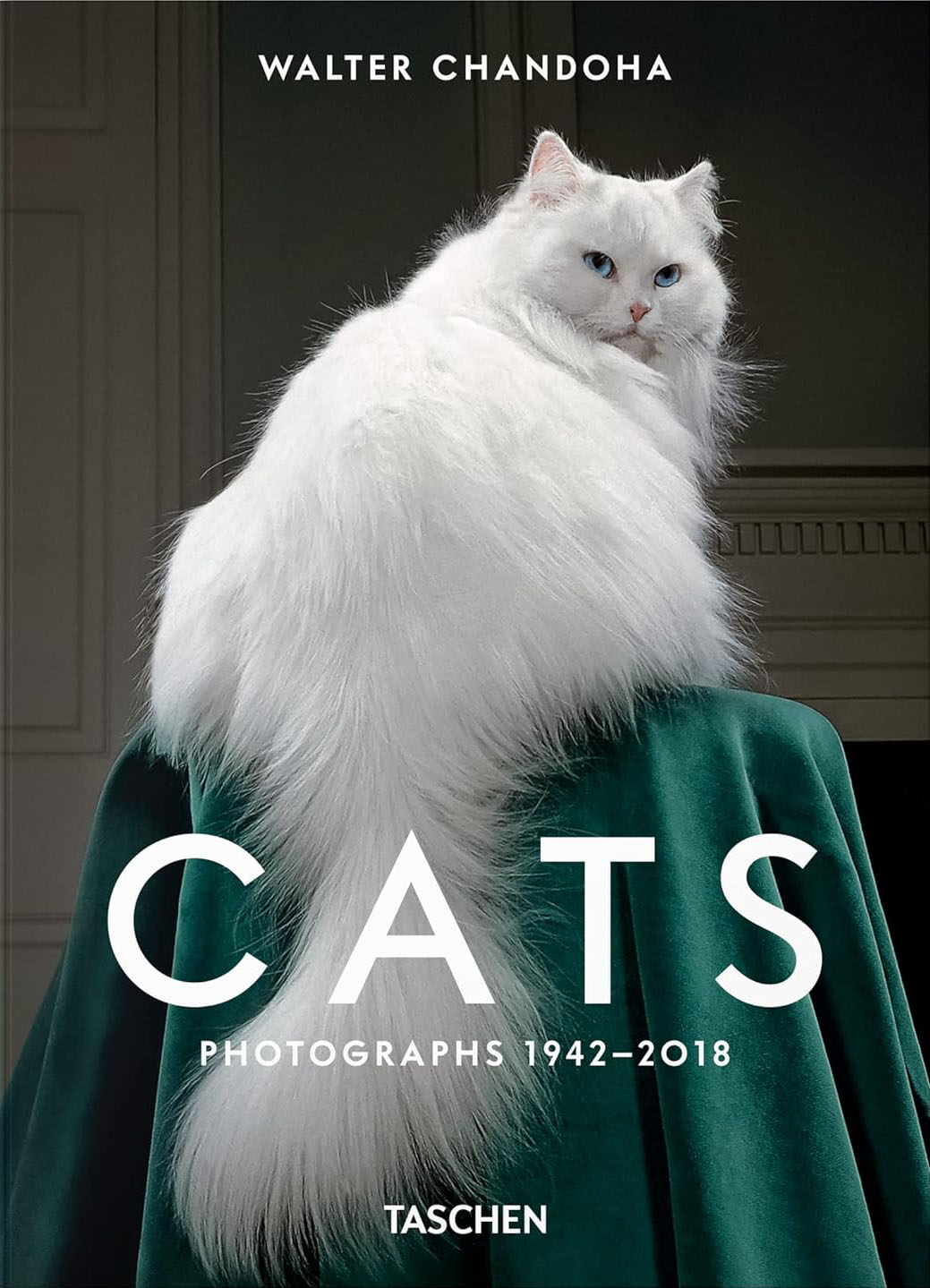 Cats Photographs 1942–2018 - Walter Chandoha